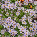 장두못공원 이미지