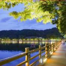 사랑의 다리 이미지