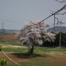 삼삼오오목장 이미지