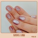 예니네일 - 부천시 원미구 상동로 90 | 수원역 네일샵 모아드네일 자석네일 후기