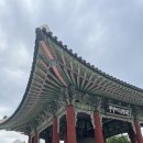 파주 DMZ 도슨트 투어 후기