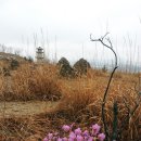 유승 앙브와즈 입구 | [파주] 검단산(黔丹山) - 진달래 가득한 파주 검단산 능선길