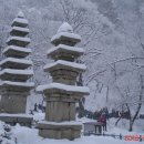 "100명산,눈꽃산행,여행"{속리산천왕봉}2월6일 이미지