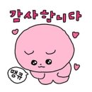 한국체대 태권스쿨 | 합격&amp;수상을 축하합니다👏🏆