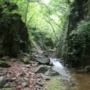 호수길 걷기명상 이미지