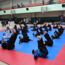 화랑 합기도 무무관 이미지