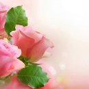 설레인 별 이미지