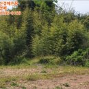 남해-220 이미지