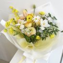 플레트르 네이버블로그