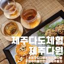 제주 다도체험:바다보며 차마시는 힐링여행지 제주다원 쉼한모금