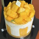 5841 | 성심당 롯데백화점대전점에서 망고시루 구매한 정말 솔직한 후기