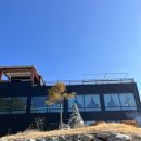 컴포어거두점 이미지