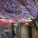 센트럴노래주점 이미지