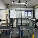 프로펫애견미용학원 이미지