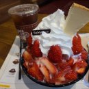 설빙창원마산