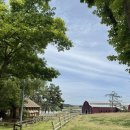 조운목장 이미지