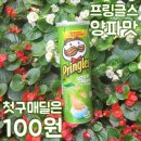 프링글스 양파맛 100원에 가져가세요~ 이미지