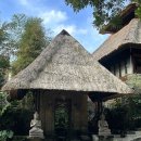 P-5705 | [두 번째 발리 여행기➀] - 더카욘 정글 리조트, 우붓 시내 볼거리, 맛집, 와룽 바비 굴링, 너티누리스