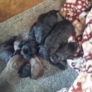 하늘가축병원 이미지