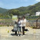 씨유천안광덕점 | [천안 광덕산] 푸르른 자연 속 힐링, 수제버거 파스타까지 완벽했던 호랭이카페 솔직후기