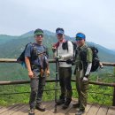 Re: 제276차 보성 오봉산 및 12월 조식찬조 알림~ 이미지