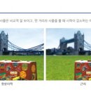 아이비스안경원 네이버블로그