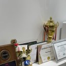 하니뷰티 | 부천왁싱 뷰티하니 여행준비 브라질리언왁싱 통증 후기