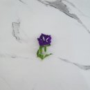 광준농장 이미지