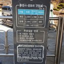 양평 가볼만한곳 용문산관광단지 용문사