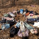 햇살자연어린이집 이미지