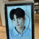 셀프 PC POP | 벌써 한 달 앞으로 다가온 출산 (산후조리원 취소, 레이지보이 , 벚꽃구경)