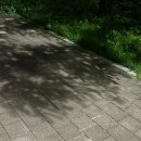 달그림자공원 | 그림자 사진, 가을 저녁 명지 산책하기 좋은 곳 추천