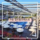캠프통포레스트 | 🌊가평 캠프통 포레스트 후기