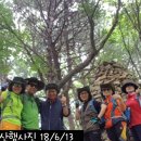 우면산6-13 이미지