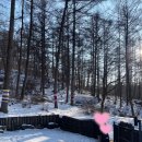 양평 주주송 독채펜션 이미지