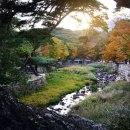 행복가득공인중개사사무소 이미지