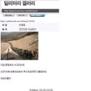 하나디씨 이미지