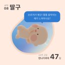 해피데이뷔페 | 32주 33주 임산부 일상 경주 장거리 여행 운동 무리한 후기..