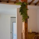 스테이 연 이미지