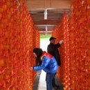 강선농장 이미지