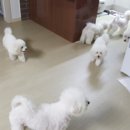 한날펜션 이미지