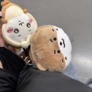 내가;좋아해 | [💎]내가 세븐틴을 왜케 좋아해 - 2025캐랜 후기
