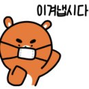 365숙녀복