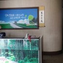 골든카서비스 이미지