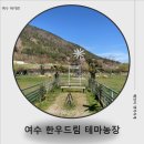 여수하늘목장 | 여수 돌산 동물먹이주기 체험이 가능한 한우드림 테마농장 아이랑 내돈내산 후기