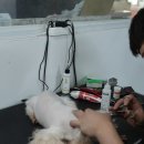 미스터브리더 이미지