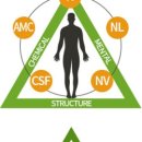 서울신통마취통증의학과의원 이미지