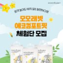 모모어린이집 이미지