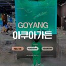 키즈킨더가든어린이집 | 일산 아이와 가볼만한 곳 육아맘 대만족 일산대형카페 아쿠아가든 가격 후기