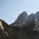 밤골약국 이미지